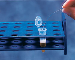 IT-18EXLONG  Flexible Implantable Microprobe in Flexible Implantable Probes